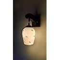 Arus Wooden and Glass Green Leaf Design White Shade Downlight Fancy Wall Lamp for Home (White-Green ; Pack of 1)