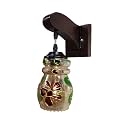 Arus Wooden and Glass Modern Fancy Flower Print Design Downlight Wall Lamp for Home (Multicolor ; Pack of 4)