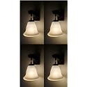 Arus Wooden and Glass White Shade Downlight Fancy Wall Light for Home (White ; Pack of 4)