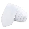 ARYANSH SHOPPE Men's Solid Color Satin Microfiber Tie, Regular and Skinny Width for Office, Interview, Wedding Formal Dress