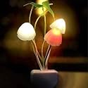 ascension ® Mushroom Lamp Automatic Light Multi-Color Changing Best Night Avatar Bulbs for Home &amp; Bedroom Decoration Kids Favourite Birthday &amp; Party Return Gifts (Set of 2)