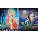Radha Krishnaji on Jhula Design Backdrop Curtain for Decoration Backdrop Cloth for Pooja Traditional/Background Curtain Fabric-Polyster Size-5Feet Height and 8Feet Width(5 * 8)