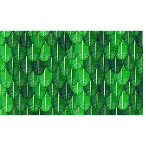 wedding backdrop cloth banana leaf for all festivalshouse hold functionsceremonies banana leaf designaaritaku design size 5 feet height  8 feet width 5  8