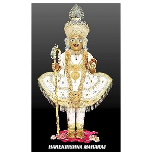 hare krishna maharaj design backdrop curtain for decoration backdrop cloth for pooja decoration traditionalbackground fabric-polyster size-5feet height and 8feet width5  8
