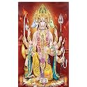 Panch Mukhi Hanumanji with Different Heads and Holding Various Weapons Design Backdrop Curtain for Decoration Backdrop Cloth Fabric-Polyster Size-8Feet Height and 5Feet Width(8 * 5)