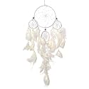 Asian Hobby Crafts Dream Katcher Wall Hanging (White Tiger)