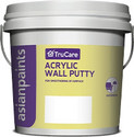 Asian Paints Acrylic Wall Putty 1Kg Crack Filler (1 kg)