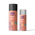 Asian Paints APCO AEROSOL Combo Black 250 g (400ML) + Silver 125 g (200ML)