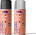 Asian Paints Multicolor Spray Paint 800 ml (Pack of 2)