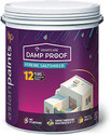 Asian Paints DAMP PROOF XTREME 20L White Emulsion Wall Paint (20 L)
