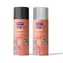 Asian Paints ezyCR8 Apcolite Enamel Paint Spray Combo Black 250 g (400ML) + Silver 250 g (400ML)
