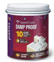 Asian Paints SmartCare Damp Proof with Heat Reduction Technology White Emulsion Wall Paint
