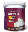 Asian Paints SmartCare Damp Proof with Heat Reduction Technology White Emulsion Wall Paint (20 L)