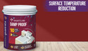 Asian Paints SmartCare Damp Proof with Heat Reduction Technology White Emulsion Wall Paint (10 L)