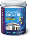 Asian Paints SMARTCARE DAMP SHEATH EXTERIOR WHITE