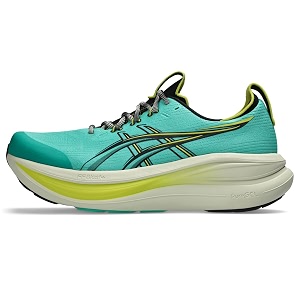 ASICS Mens Gel-Nimbus 28 Running Shoes