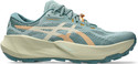 Asics TRABUCO 14 Running Shoes For Men