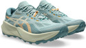 Asics TRABUCO 14 Running Shoes For Men