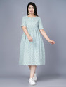 asifarheen Women Fit and Flare Light Green
