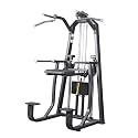 Assisted Chin and Dip Machine with 176 lbs Weight Stack for Home and Commercial Gym