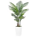 ASTIDY Artificial Plant 5FT Fake Palm Tree with White Tall Planter