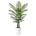ASTIDY Artificial Plant 6FT Fake Palm Tree with White Tall Planter