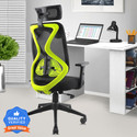 ASTRIDE Ergofit BIS Certified Ergonomic Chair 2D Headrest,Tilt Lock Mechanism Nylon Base Mesh Office Adjustable Arm Chair