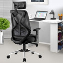 ASTRIDE Ergofit BIS Certified Ergonomic Chair High Back, Synchro Tilt Mechanism Mesh Office Adjustable Arm Chair