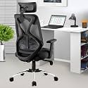 ASTRIDE Ergofit Ergonomic Office Chair for Home