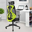 ASTRIDE Ergofit Ergonomic Office Chair for Home