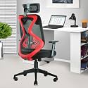 ASTRIDE Ergofit Ergonomic Office Chair for Home