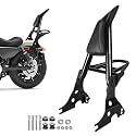 Backrest Sissy Bar Luggage Rack W/Docking Latches Compatible With Sportster