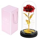 Gifts for Women,Galaxy Rose in Glass Dome Artificial Flower with LED Light String,Enchanted Rose Gift for Her Decoration for Valentine's Day,Mother's Day,Wedding,Anniversary,Christmas (RED)