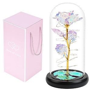plastic galaxy rose forever rose in glass dome rainbow unique love flower gift for her girlfriend wife mom grandma women gifts for valentines birthday mother39s day