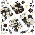 Augshy Black White Dried Pressed Flowers, 120 Pcs Halloween Dried Flowers