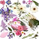 Augshy Dried Pressed Flowers Dry Leaves, 80 Pcs Real Pressed Flowers Leaves for Resin Molds Assorted Pink Blue White Flower for Crafts DIY Jewelry Molds, Scrapbooking, Candle