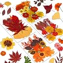 Augshy Fall Dried Pressed Flowers and Leaves for Autumn Crafts Resin DIY