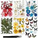 Augshy Real Dried Pressed Flower Set with Butterfly Transparent Stickers Scrapbook Decals Natural Dried Flowers Leaves with Tweezers for Resin Supplies DIY Candle Jewellery Making