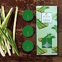 AuraDecor Lemongrass Scented Tealight Candles Pack of 10 | 3-Hour Burn Paraffin Wax Lights for Home Decor, Spa, Relaxation &amp; Festive Use