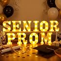 Aurelema 10 Pcs Senior Prom Graduation Decorations LED Letter Lights Sign
