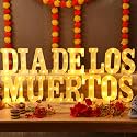 Aurelema 15 Pcs Day of the Dead Decorations, LED Letter Lights Signs