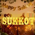 Aurelema 6 Pcs Sukkot Decorations LED Letter Lights Signs