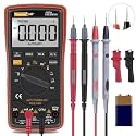 Auto Ranging Digital Multimeter TRMS 6000