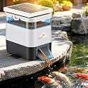 Automatic Fish Feeder for Pond Solar Powered 1.5L Capacity