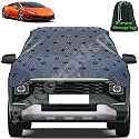 Complete Protection Spike Car Cover for Lamborghini Huracan 100% Protection from Street Dogs,Monkeys &amp; Pets, Also Compatible with All Hatchback,Sedan,SUVs 13.4 Fit Universal Size