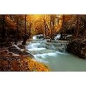 Autumn Waterfall Aquarium Background Jungle Forest Lake Stream Natural Landscape Fish Tank Background Tropical Plants Huge Rock Terrarium Backgrounds Jungle Trees Falls Reptile Backgrounds 36x24in