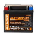 Autocessking AUX12 BCI Group 401 AGM Auxiliary Battery, 12V 12Ah, 180 CCA, 14 RC Rechargeable