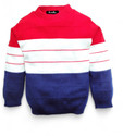 Avelly Striped Round Neck Casual Boys Multicolor