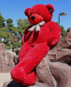 AVIDIP R-3feetRed teddy bear for birthday11  - 90.3 cm