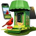 Avinory Smart Metal Bird Feeder with Camera 1080P, Solar Powered AI Bird Identifier 10000+ Species, Wireless,Live Stream&Color Night Vision,Squirrel Proof for Outdoor Birds Watching Gift, 32GB Card